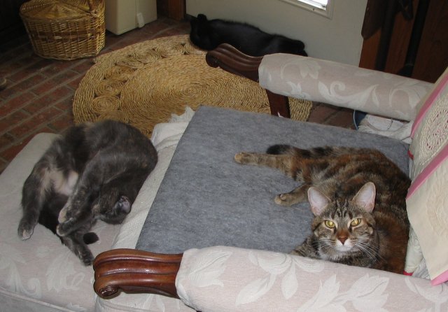 [Don't wake us up!]